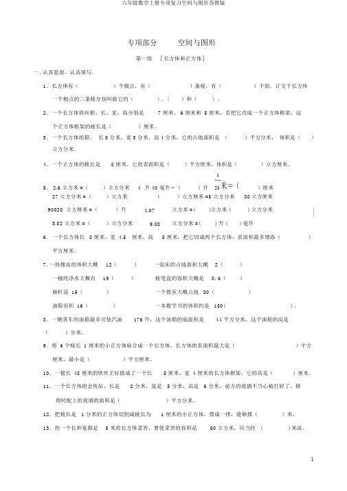 六年级数学上册专项复习空间与图形苏教版