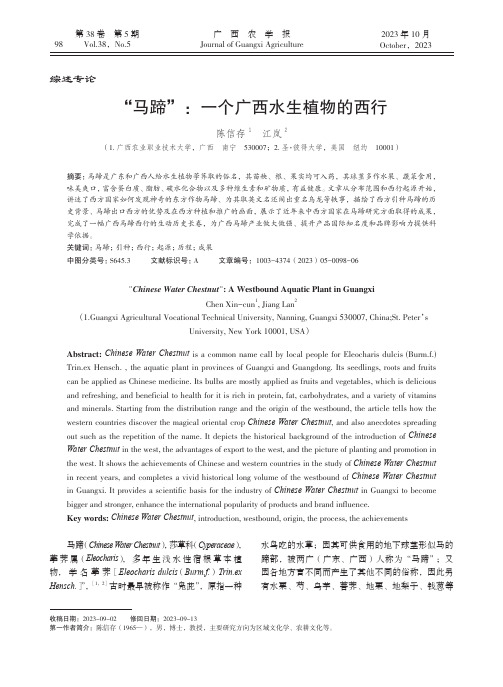 “马蹄”：一个广西水生植物的西行
