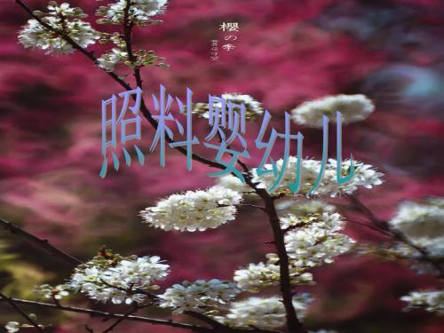 照料婴幼儿