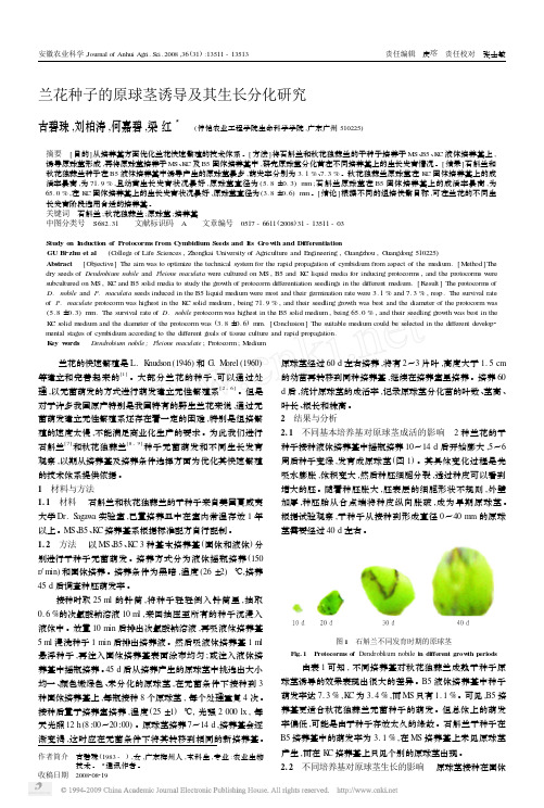 兰花种子的原球茎诱导及其生长分化研究