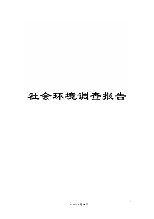 社会环境调查报告