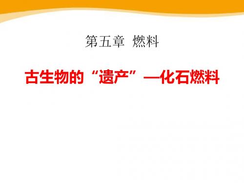 《古生物的“遗产”—化石燃料》燃料PPT课件2 (共35张PPT)