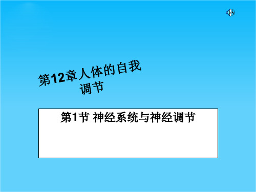 七年级生物下册 人体的自我调节课件 北师大版