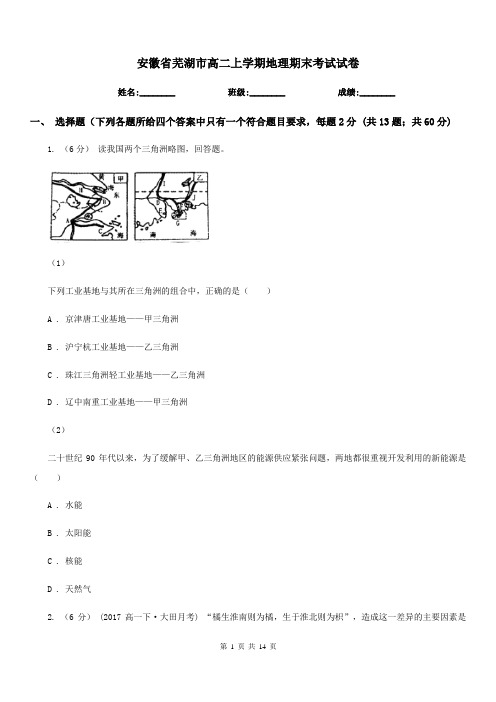 安徽省芜湖市高二上学期地理期末考试试卷