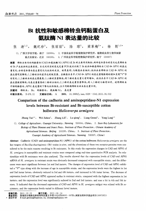 Bt抗性和敏感棉铃虫钙黏蛋白及氨肽酶N1表达量的比较