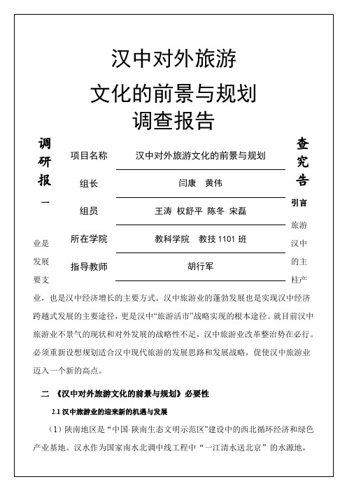 文化的前景与规划调查报告总结归纳
