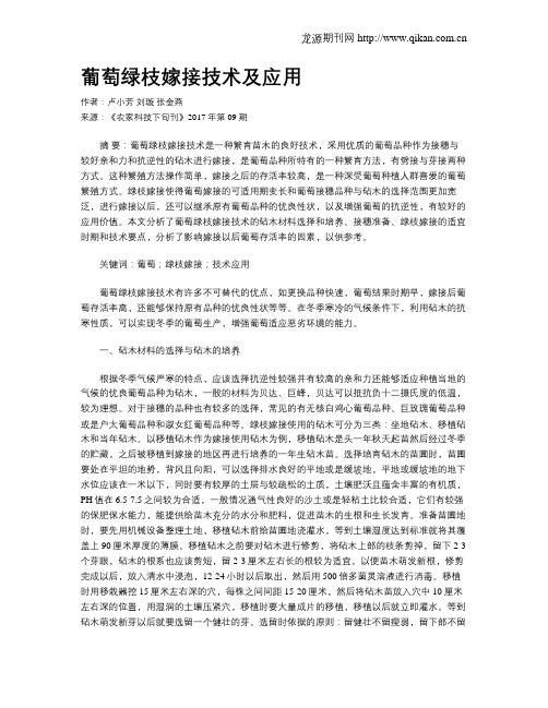 葡萄绿枝嫁接技术及应用