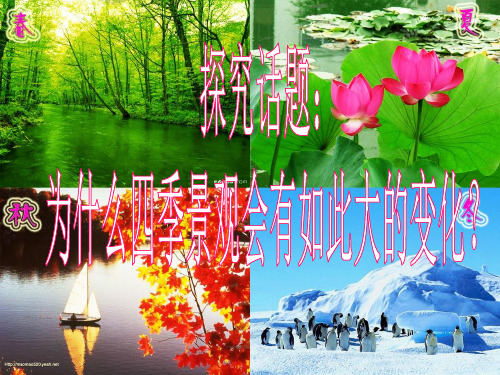 地球的公转(带动画)1.PPT课件