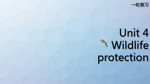 高三英语一轮复习精品课件5：Unit 4 Wildlife protection