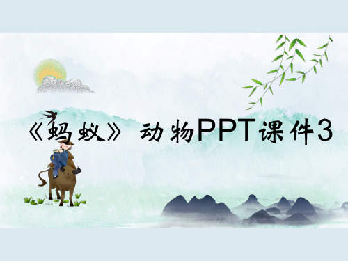 《蚂蚁》动物PPT课件3