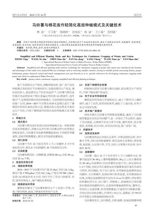 马铃薯与棉花连作轻简化高效种植模式及关键技术