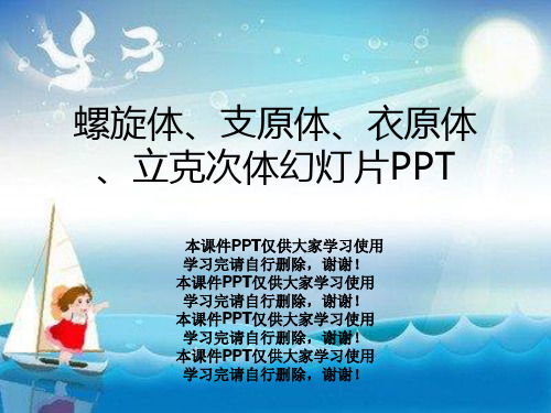 螺旋体、支原体、衣原体、立克次体幻灯片PPT