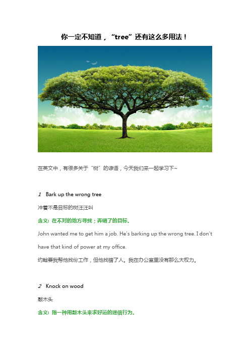 你一定不知道,“tree”还有这么多用法!