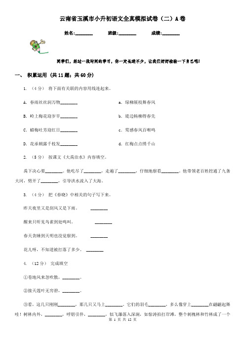 云南省玉溪市小升初语文全真模拟试卷(二)A卷