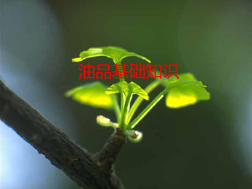 油品基础知识1PPT课件