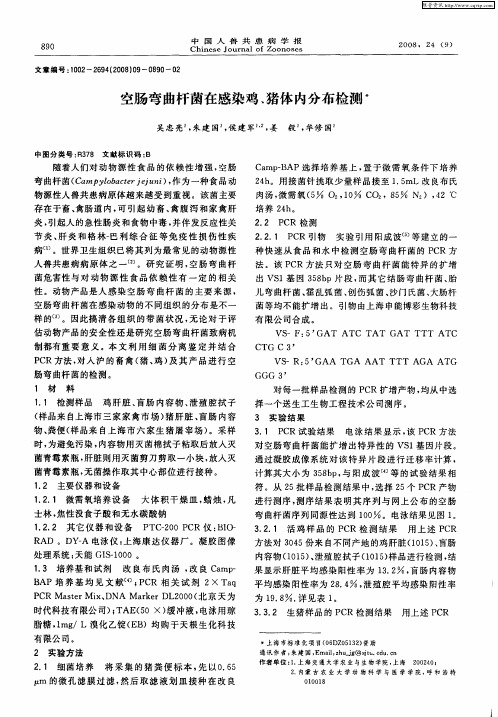 空肠弯曲杆菌在感染鸡、猪体内分布检测
