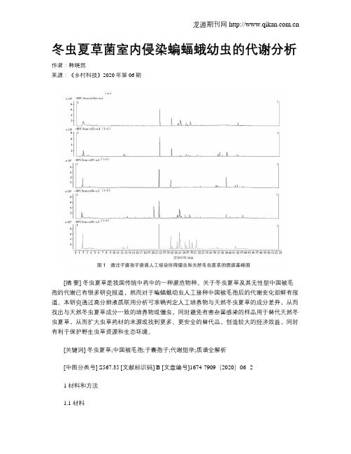 冬虫夏草菌室内侵染蝙蝠蛾幼虫的代谢分析