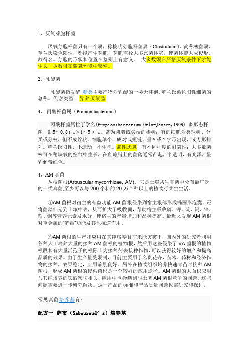 沼气微生物