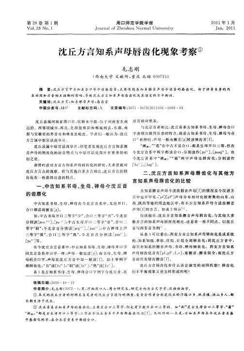 沈丘方言知系声母唇齿化现象考察