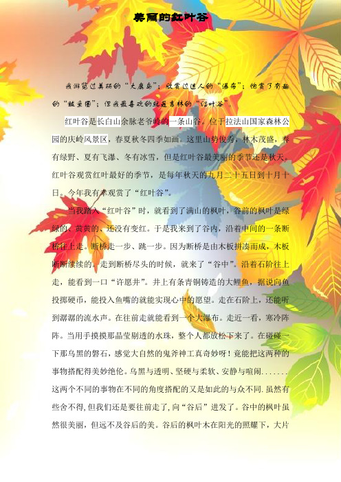 美丽的红叶谷