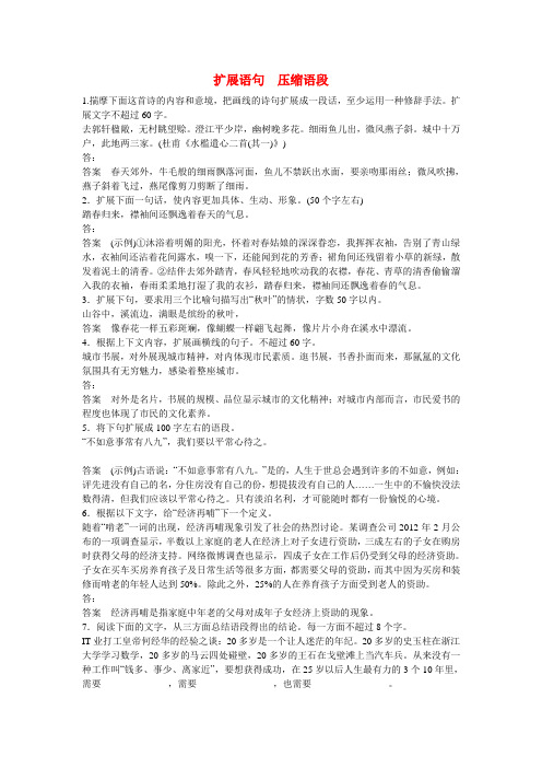 【步步高】(全国通用)高考语文大一轮总复习 语言文字运用 扩展语句 压缩语段 练习题(含解析)