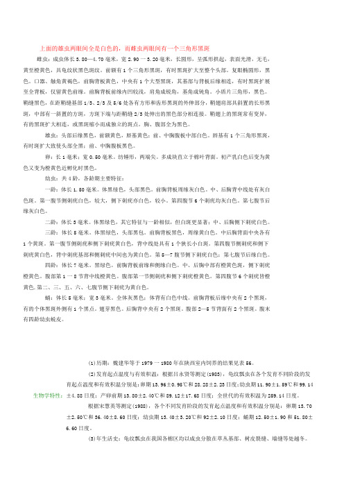 龟纹瓢虫的雌雄区别