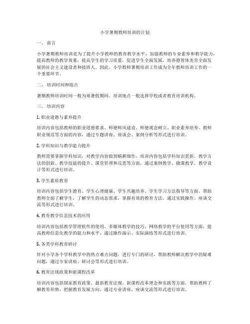 小学暑期教师培训的计划
