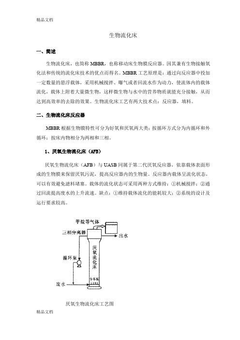 最新生物流化床知识总结