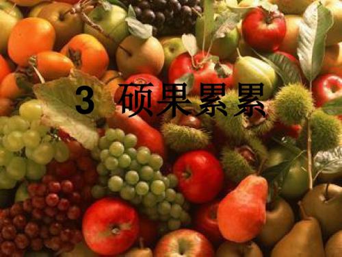四年级科学下册3.3《硕果累累》课件2大象版