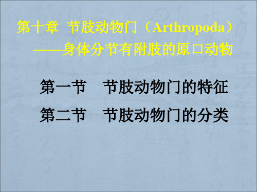 第十章  节肢动物门