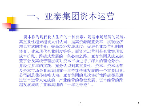 《资本运营案例综合》PPT课件