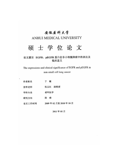EGFR、pEGFR蛋白在非小细胞肺癌中的表达和临床意义