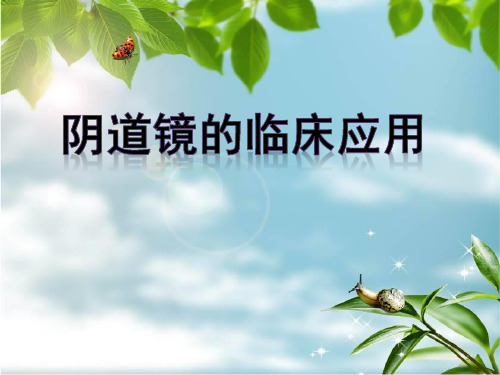 阴道镜培训ppt课件