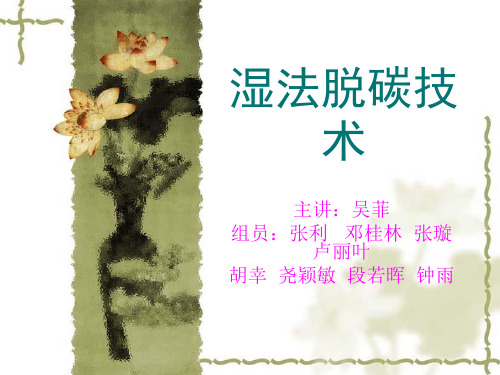 湿法脱碳技术