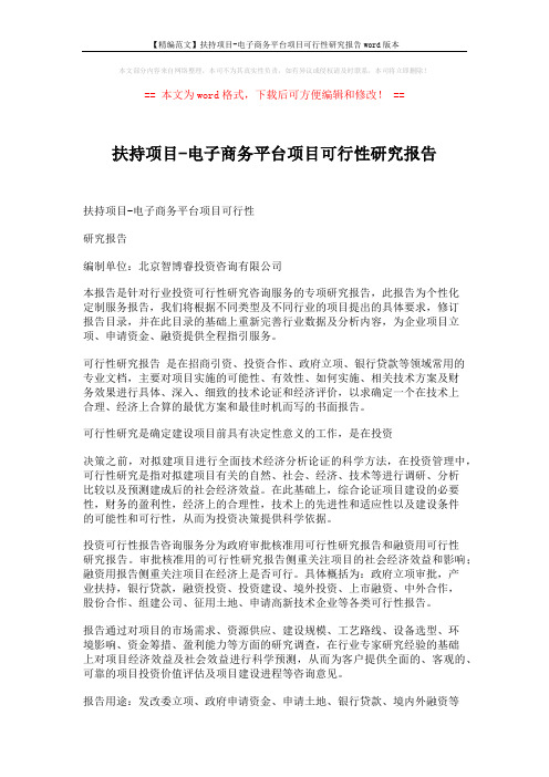 【精编范文】扶持项目-电子商务平台项目可行性研究报告word版本 (9页)