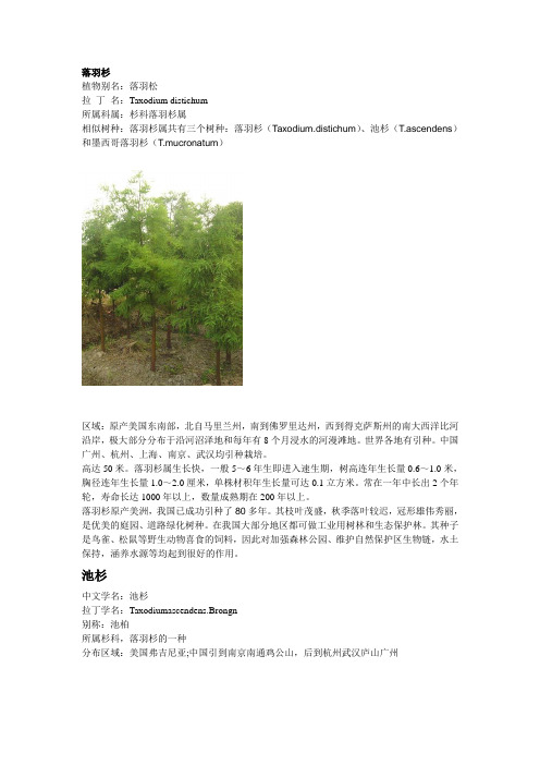 植物分析