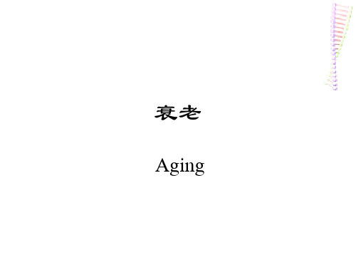 衰老