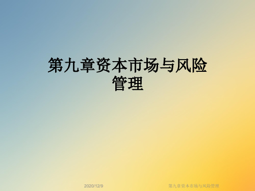 第九章资本市场与风险管理