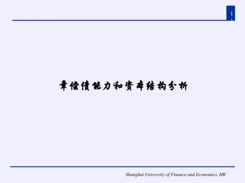 偿债能力和资本结构分析(PPT 45张)
