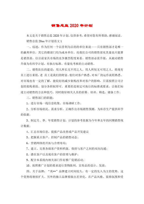 销售总监2020年计划