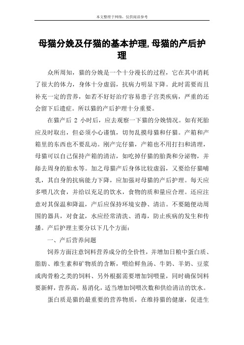 母猫分娩及仔猫的基本护理,母猫的产后护理