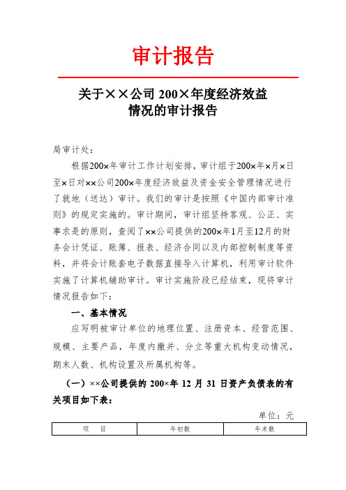经济效益情况审计报告-模板