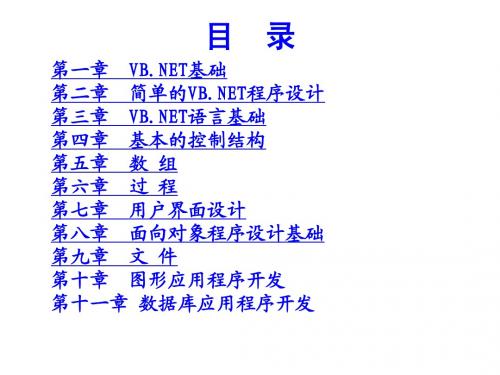 vb最全最经典课件