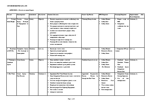 Risk Assess Report
