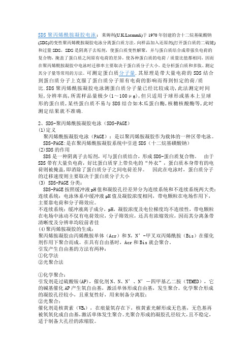 SDS聚丙烯酰胺凝胶电泳