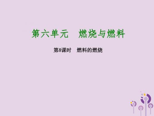 2018版中考化学复习方案第8课时燃料的燃烧课件鲁教版