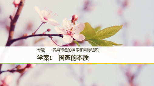 高中政治新学案选修三(通用)课件：专题一 各具特色的国家和国际组织 学案1 