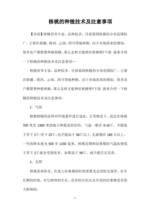 核桃的种植技术及注意事项