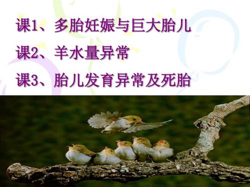 多胎妊娠巨大儿羊水异常