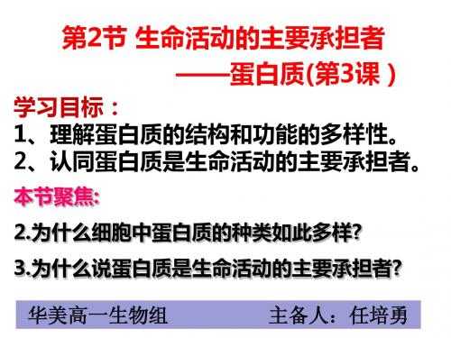 生命活动的主要承担者-蛋白质第3课时